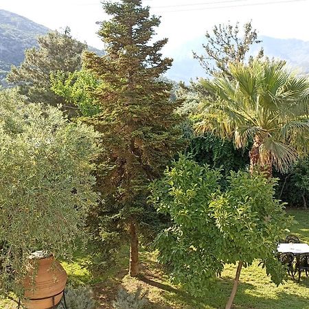 Villa Karapataki Skala Rachoni  Esterno foto