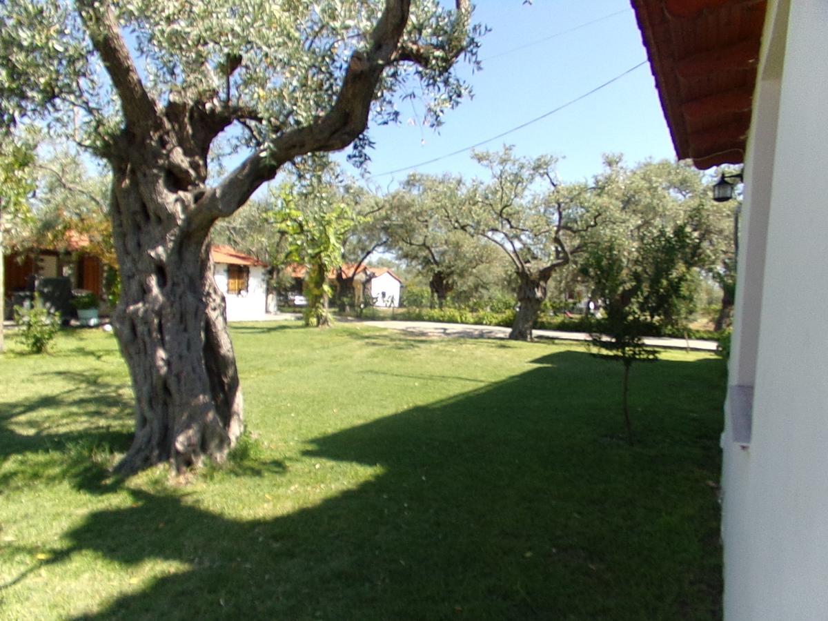 Villa Karapataki Skala Rachoni  Camera foto